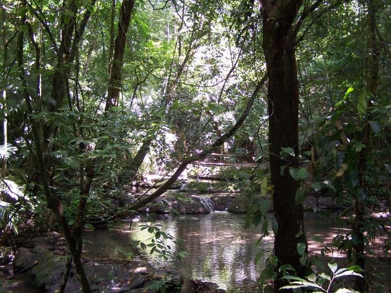 rio Palenque (3)